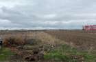 Teren intravilan, 6000 mp, Ghimbav - 4