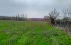 De vanzare casa +teren 16k mp in BARCANESTI / IL - 48