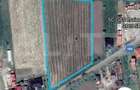 Teren Intravilan , 11500mp, zona Satmarel - 2