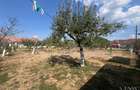 Teren intravilan de vanzare | Tileagd | jud. Bihor - 3