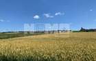 TEREN INTRAVILAN – SF. ILIE| SUCEAVA | 3.500 €/ar - 2