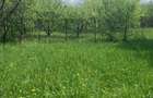 Breaza  Vanzare Vila(Pensiune)+10 camere 199 000eur - 3