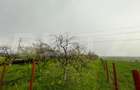 Teren intravilan, 4447 mp, 28 ml deschidere, Pielesti - 11