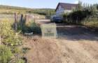 Teren intravilan 3500 mp zona Hamba - 11
