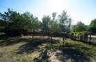 Teren Parcelabil I 11400 MP I Corpadea