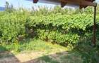 CASA NOUA PE UN NIVEL CU 4 CAMERE DOUA  BAI,LIVING, BUCATARIE  19 ARI TEREN - 18