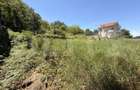 Teren intravilan 4.542 mp la principală, front 37 m, Leamna de Jos - 4