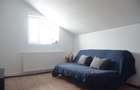 Apartament cu doua camere situat in Busteni - 4