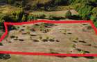 VIDEO | Super view | Teren 8.500 m² in Maramures | Viitorul tau colt de liniste