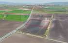 Teren extravilan potențial industrial | 10.000 mp | Feldioara - 3