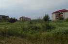 Pentru DEZVOLTATORI si INVESTITORI! Teren intravilan, 15.000 mp, Micalaca - 5
