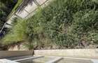 2 CAM TATARASI CU GRADINA 67 MP - 10