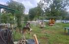 Teren intravilan de vanzare, 3283 mp, zona Hagioaica - 7