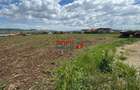 Teren Intravilan construibil de 2740 mp în Micești, Alba Iulia - 1