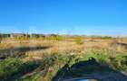 Teren 5000m2 Targoviste - ZONA INDUSTRIALA C.O.S. TGV - 7