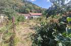 Bocsa Montana, Casa cu pridvor generos, ideala pentru familie extinsa. - 29