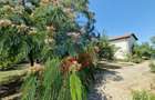 CASA P +E  5 camere -Cosoveni