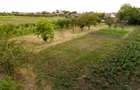 RECO Proprietate cu 2 case si teren mare in Girisu de Cris - 38