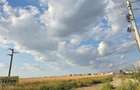 Teren intravilan &icirc;n orașul Măgurele, la limita cu Bucureștiul - 4