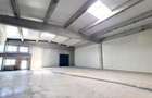 Hala noua de vanzare, 400 mp, Timisoara exterior NORD - 3