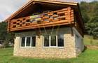 Casa de vacanta/pensiune cu teren de 3780mp | Clisura Dunarii - 4
