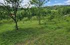 TEREN INTRAVILAN  | BREAZA | PROVITA DE JOS | VALEA PRAHOVEI | - 2