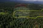 Teren extravilan parcelabil Călățele Pădure, zona Dealu Negru - 5