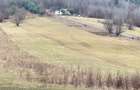 Teren extravilan 1500 mp de vânzare în Teliu – zonă liniștită - 5