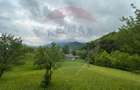 Teren 2,000mp Copalnic-Manastur / Strada Principala - 8