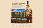 Domeniu viticol 5,5 ha, Conac boieresc | Călinești, Argeș - 4