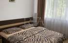2 camere, et 3/4, 50mp-Drumul Taberei - 4