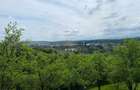 Teren de vânzare în Cisnădioara, aproape de cetate, cu priveliște superbă - 10