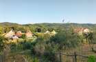Casă la țară cu livadă, grădină și aer curat - Vulturești, Argeș - 10