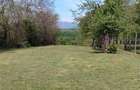 Teren zona montana in com.Turcinesti Jud.Gorj - 11