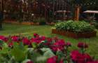 Spatiu  comercial -Parc Herastrau - 9