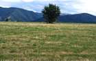 Oportunitate-Teren Extravilan 6200 mp cu vedere Panoramica-Tropinii Noi-Rasinari - 6