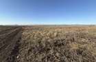 Teren extravilan | Rădăuți | 600 m de centură | 20 m front - 6