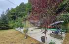 Căsuță de vacanță de vânzare – comuna Alexandru cel Bun, Neamț - 36