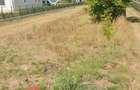 Oportunitate -Vanzare Teren Snagov - 5