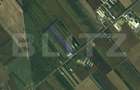 Teren intravilan, 11500mp,Botiz - 1