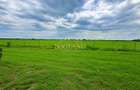 BG141-Teren-46.400 mp-Front 300 ml acces TIR | INCONTRO-Calea Sagului - 6