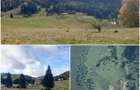 Teren intravilan 2.500 mp in Poiana Aviatorilor. - 4