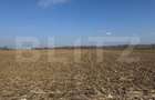 Teren intravilan de vanzare,2900mp - Soseaua de centura - 2