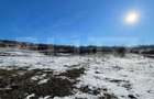 Teren extravilan, 5.400 mp, intrare Rădașeni - 1