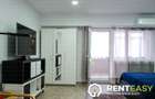 Inchiriere apartament cu o camera situat in zona Gara - Carrefour - 4