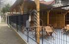 Casa unifamiliala în Timișoara,cu spațiul comercial - 2