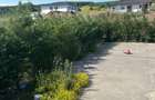 Casă individuală premium | 240 mp utili | Teren 500 mp | Piscină | Saună | D+P+M - 3