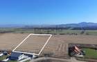 COMISION 0% TEREN CU POTENȚIAL -LOCALIZAT LA INTERSECȚIA DRUMUL CU PLOPI -CASTEL - 1