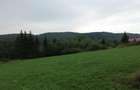 TEREN PREMIUM 5.023 MP ÎN VORONEȚ | BUCOVINA | ZONA MĂNĂSTIR - 5