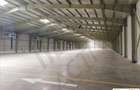 DEPOZIT TEMPERATURA CONTROLATA ALUTI & VALSI COLD STORAGE - 2
